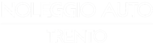 Noleggio Auto Trento Logo